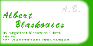 albert blaskovics business card